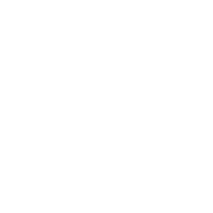 Savinelli Logo PNG